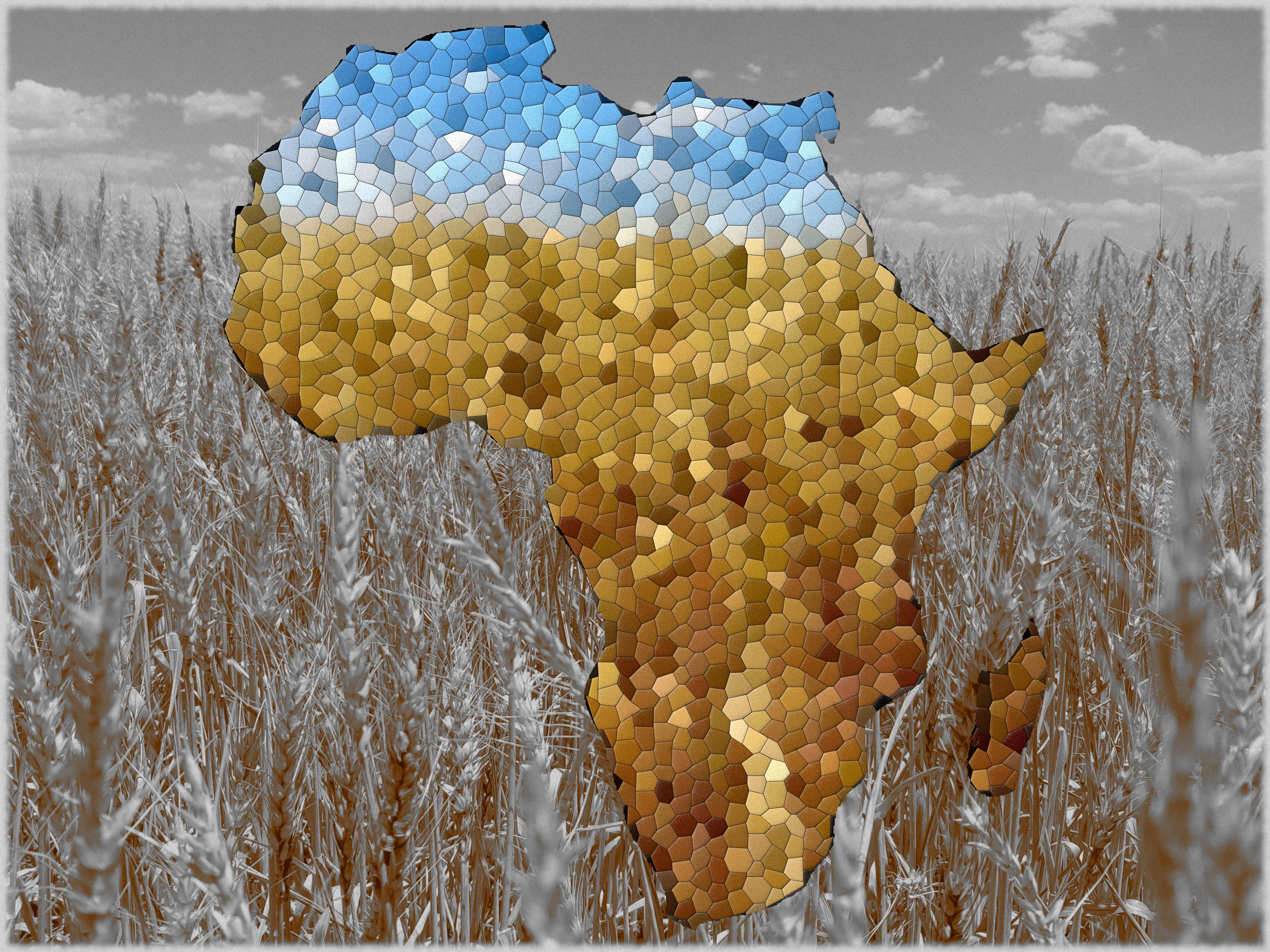 African Style Whisky